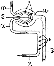 合欢宗视频 健康的合欢文艺作品
