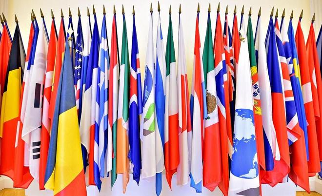 red视频 例如：Reddit：海外知名论坛