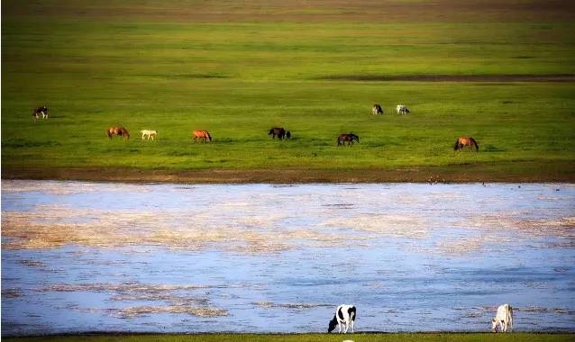 海角社区回家不迷路 社区异常情况上报系统