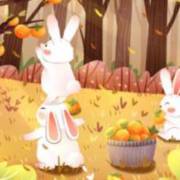 qc视频 视频缺陷产品分析案例