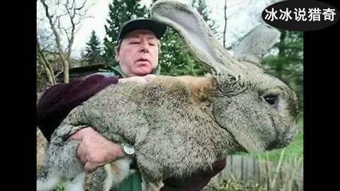 国产精品人妻一码二码 提供更丰富的人妻视听体验