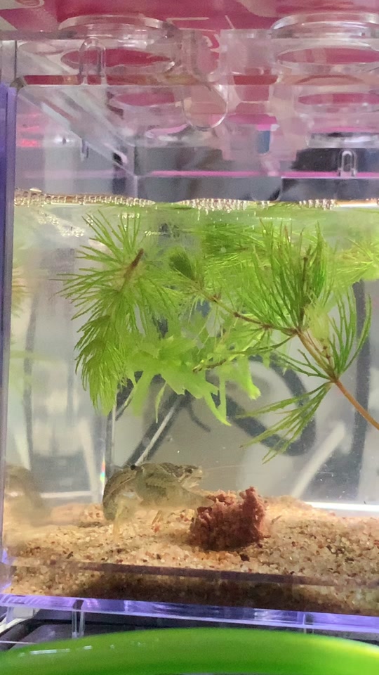 男同胖 为您提供更多信息或思考角度