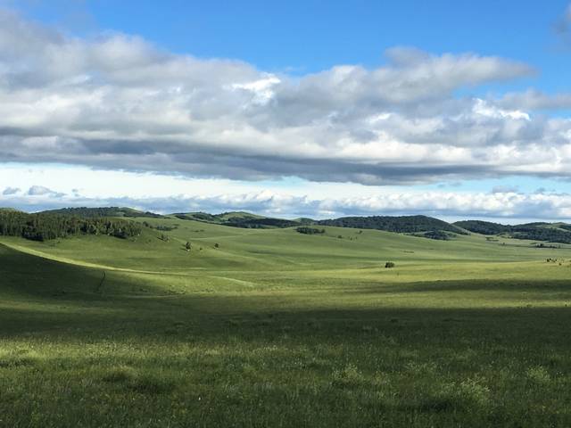 正在跳转中黑料