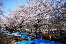 51吃 推荐算法更贴合“吃”的需求