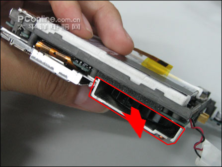 幼调 正在发展的幼调个体