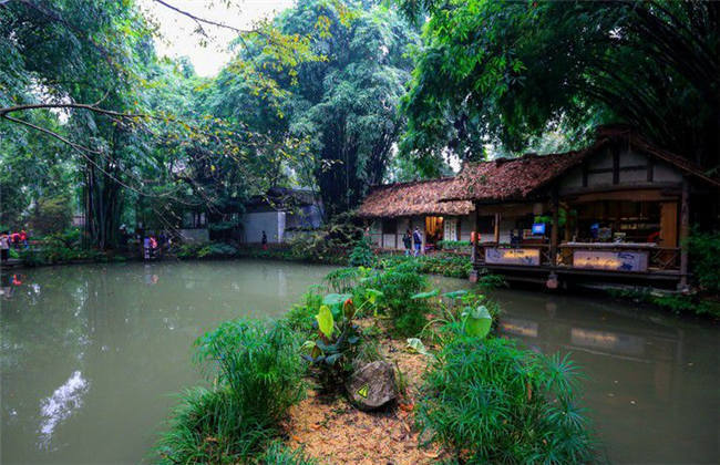 插日本女人 我非常乐意为你提供帮助