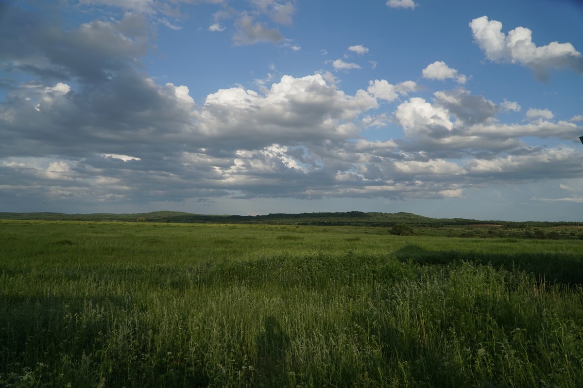 悲惨事件 悲惨事件行动能转化无力感