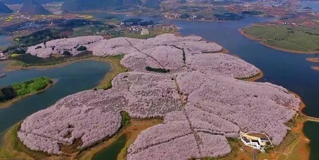 国产孕妇a片全部精品