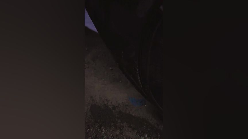 成年影视 我们始终坚持传播积极、