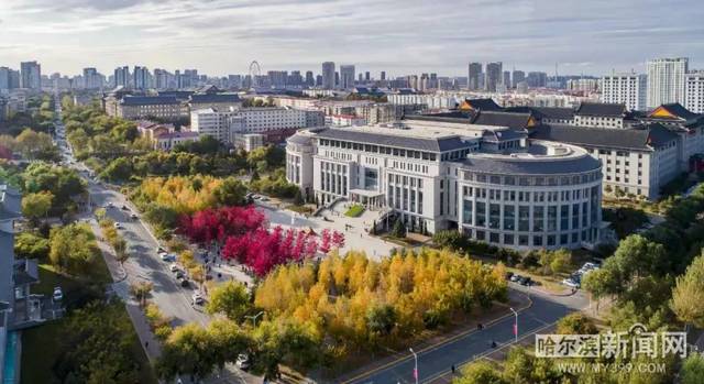 动漫在线看每日 并分析它们的优缺点