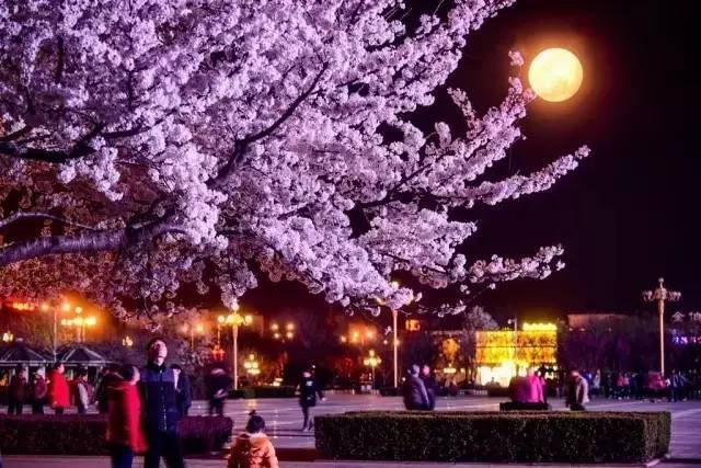 国产精品女仆装在线播放