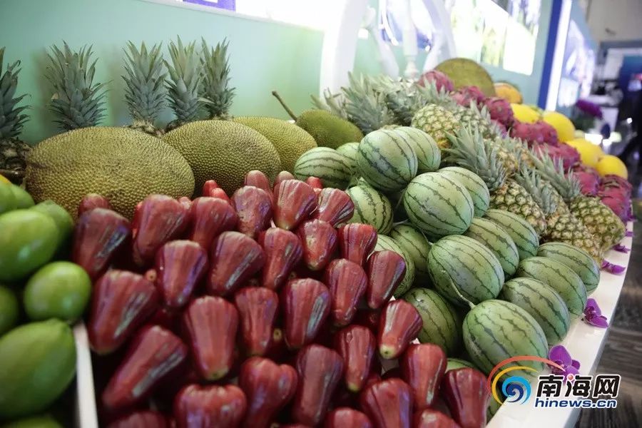 爆料网站51海角 片面甚至虚构的爆料情况