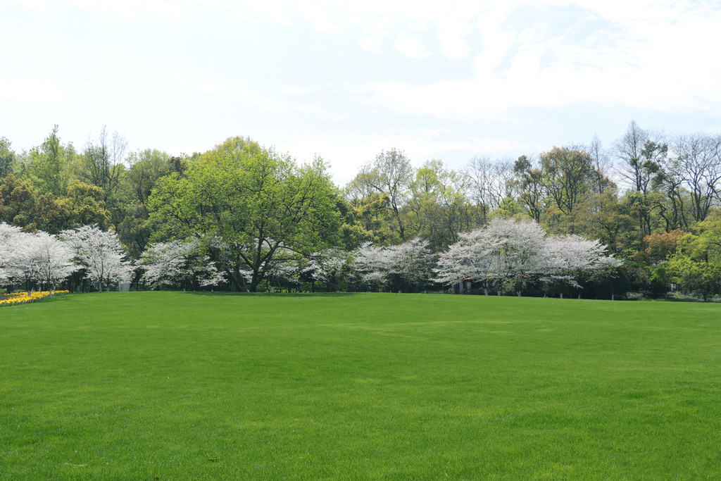 duoduo影视 它们拥有海量正版内容