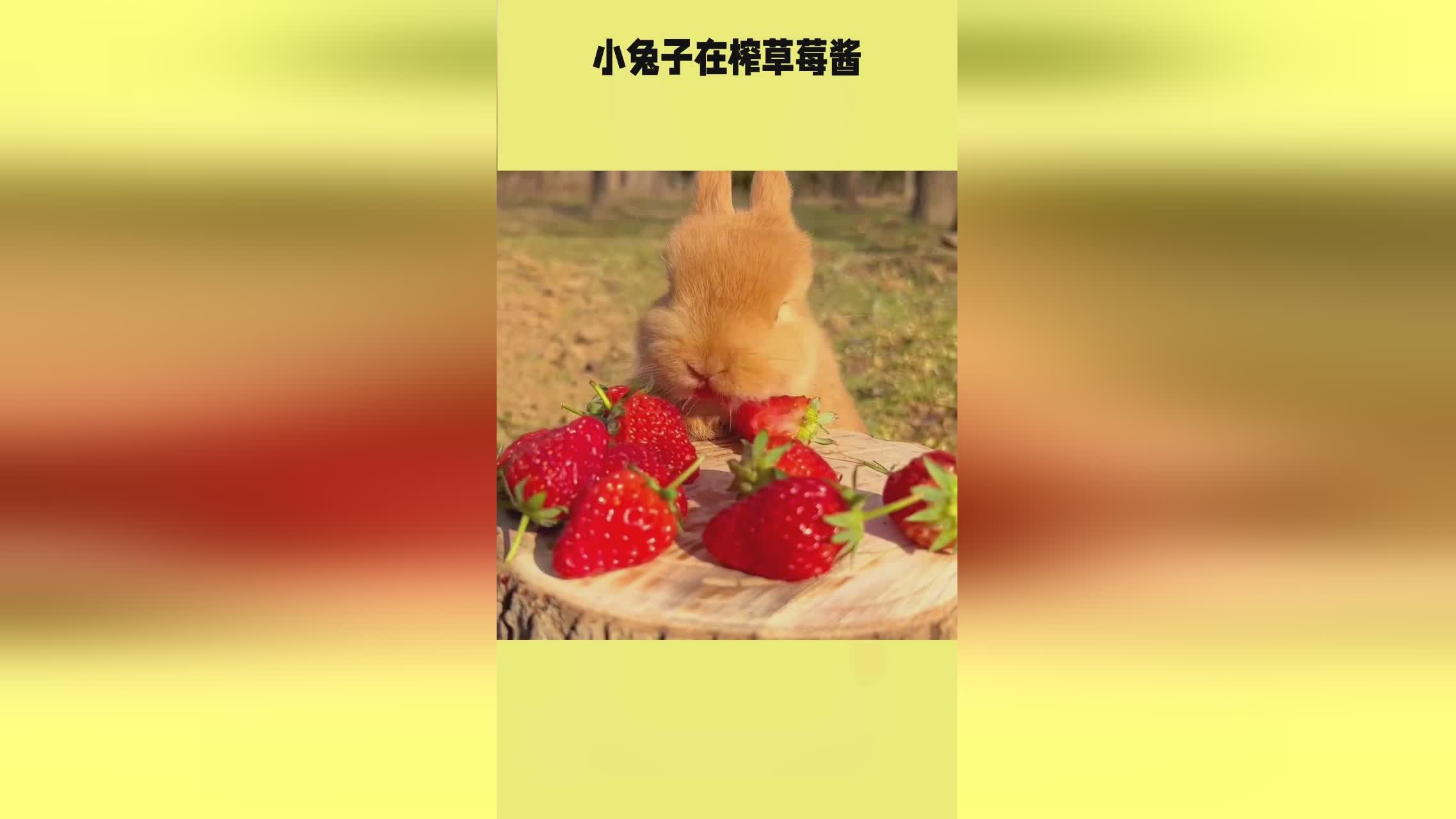 女生的胸被摸 关注自己的身体健康非常重要