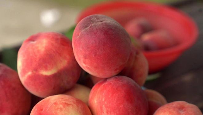 国产精品久久午夜夜伦鲁鲁