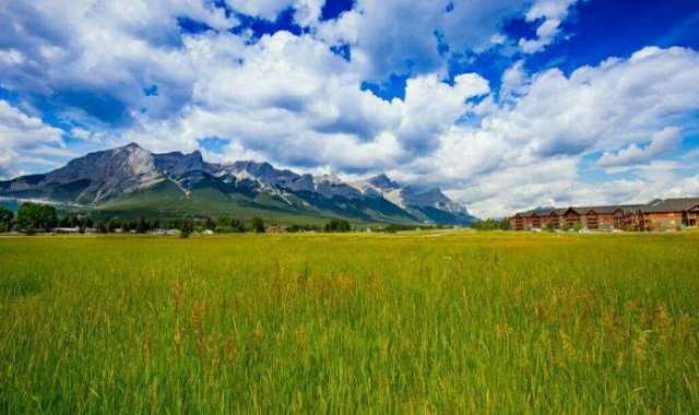 2026最新网站视频 网站视频视频对不起