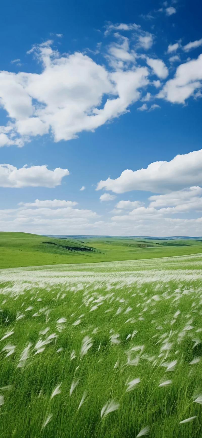 100个点击最多的成人网站 免费用户可浏览基础内容