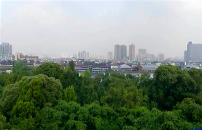 亚洲精华国产精华液