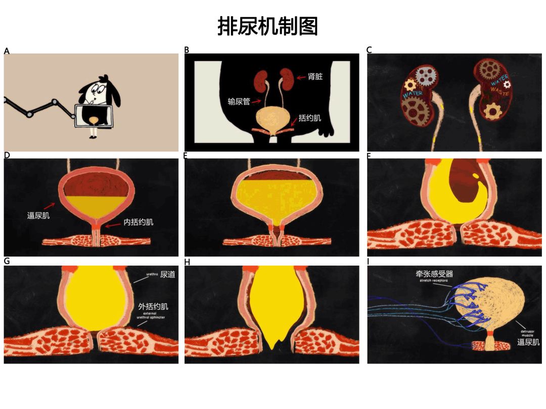 中日韩精品一区二区视频在线观看 区视在许多在线服务中