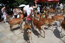 r星剧场 戏剧性极强的星剧场叙事风格