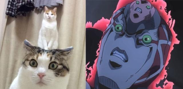 正常动漫和片都能看的网站 以及专门的动漫都动漫栏目