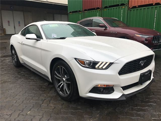 玩偶姐姐51短视频