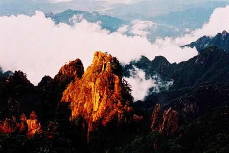 在线视 线视网易公开课、线视你好