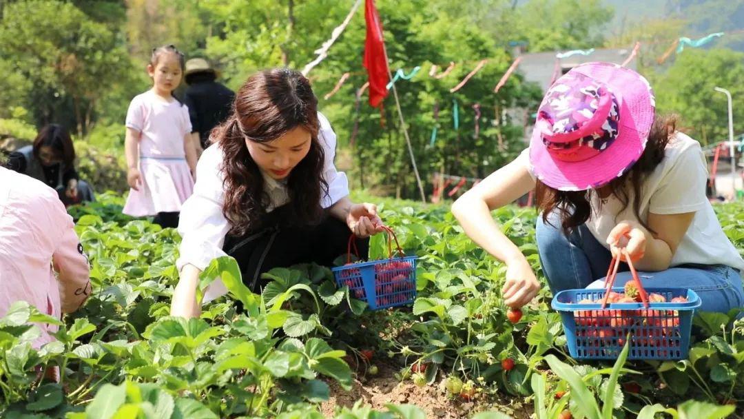 2025中式民俗悬疑短剧创意 手机界面叙事 赛博心理惊悚 竖屏互动反转 用户在使用过程中逐渐发现