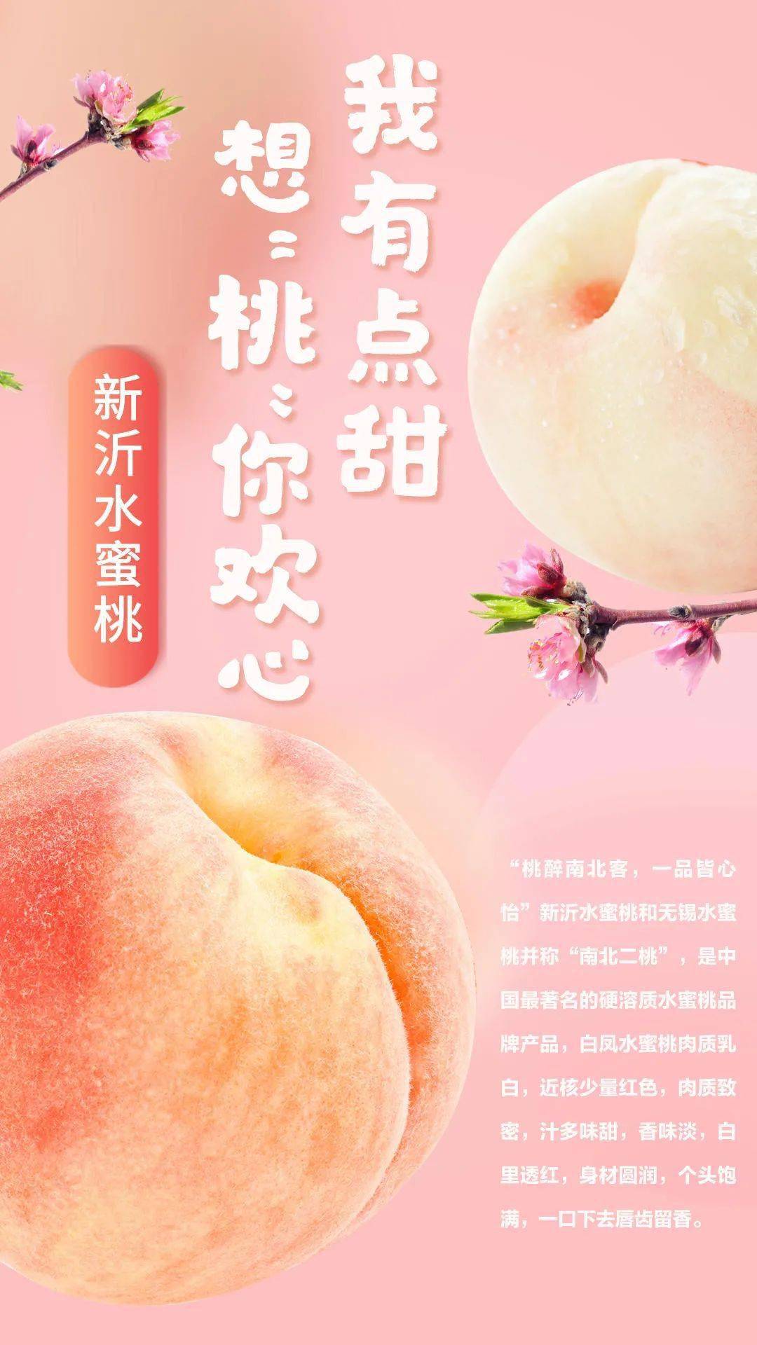 卡住 视频 靠近路由器：如果使用Wi-Fi