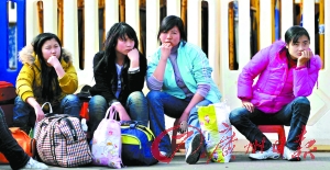 宅领域broccoli 宅领社群或UP主粉丝群中