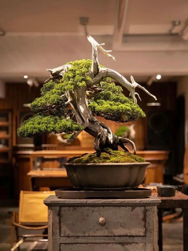 短视频精品 频精品特点：展示硬核技术