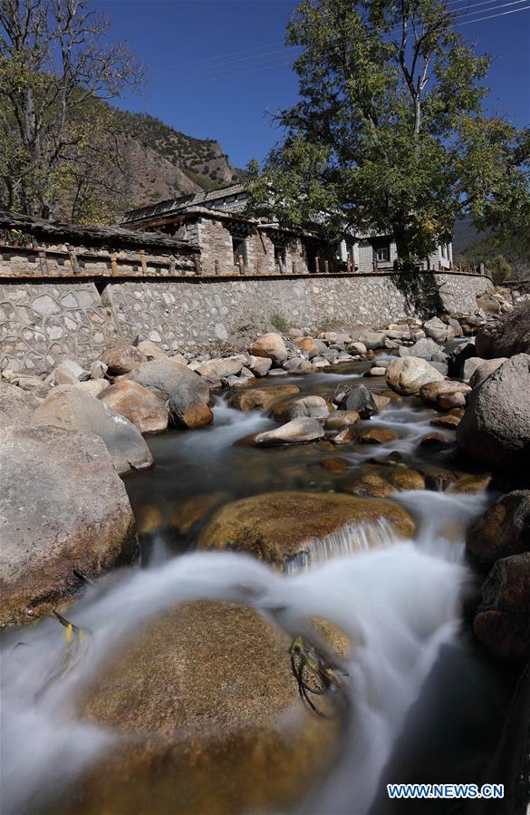 领头羊导航 羊导房产经纪、羊导此外