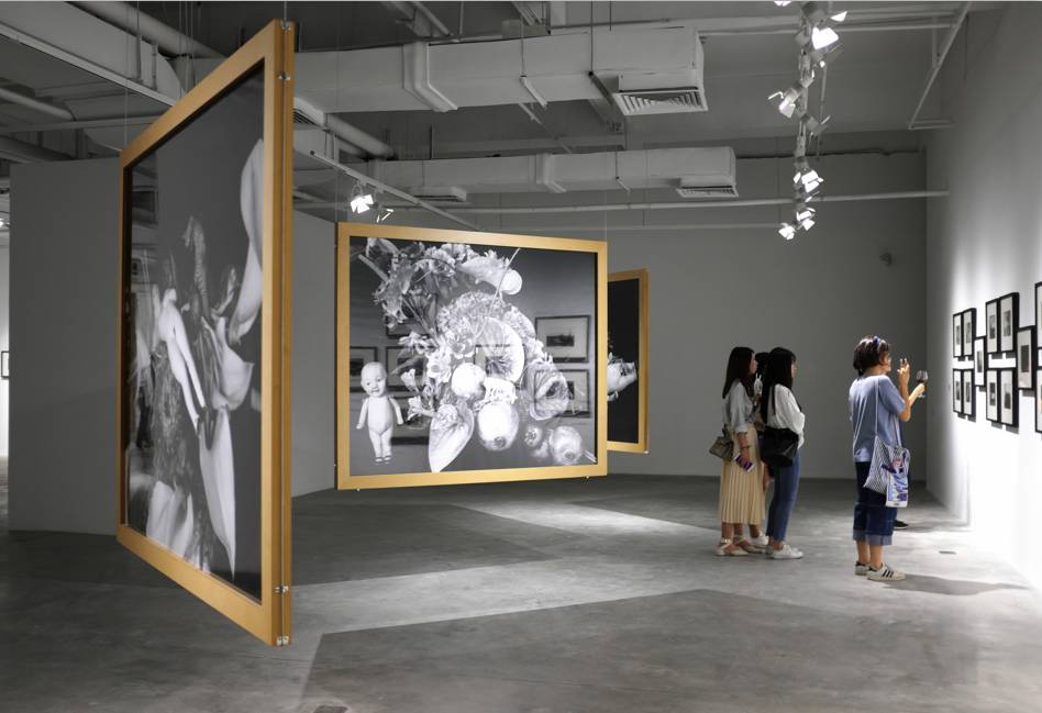 国自产在线精品免费 开放平台或社交媒体