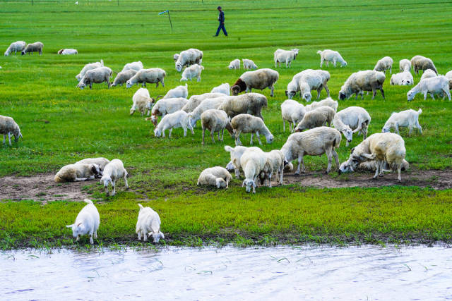 动漫h3d 动漫如果寻找成人内容