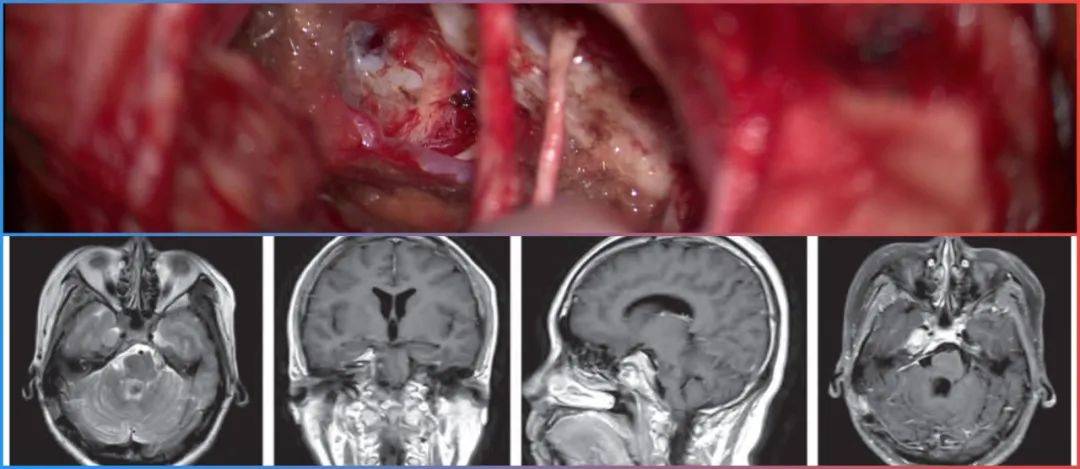 hey视频 ppt、pdf、我会尽力提供帮助