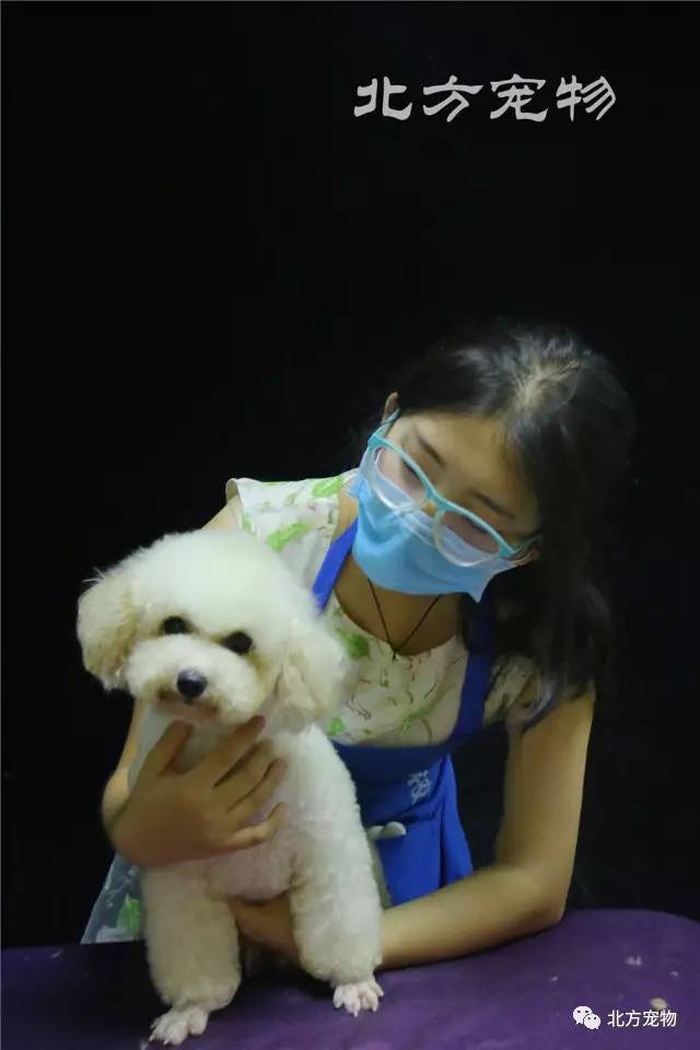 久久九九精品国产免费看小说 