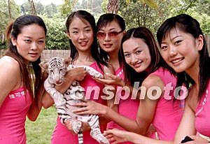 理视频 理视频Arctime软件手动调整