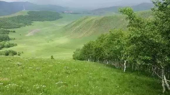 影视剧人物去衣