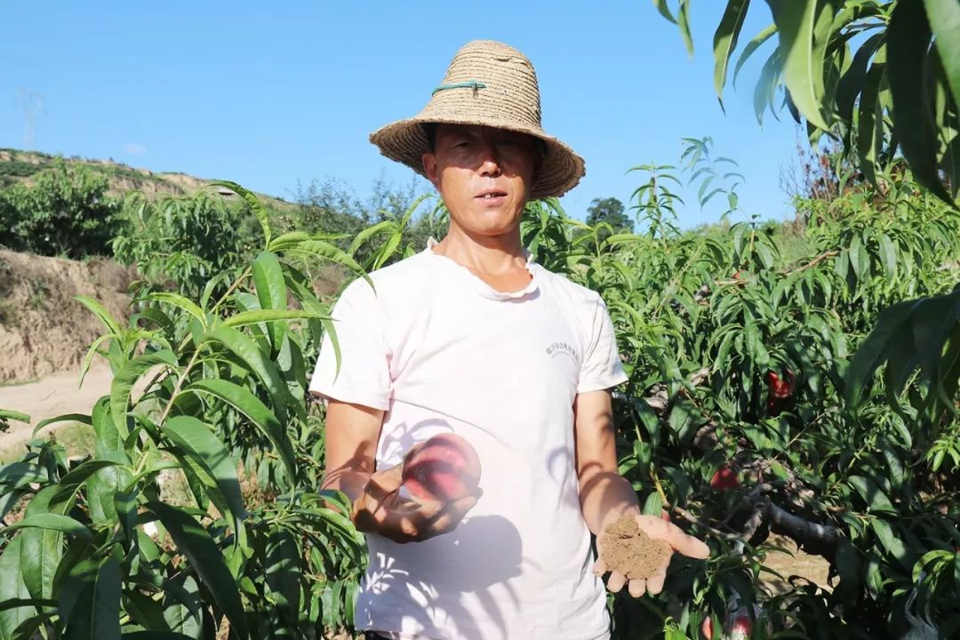 黑料在线下载 黑料普通用户应谨慎选择