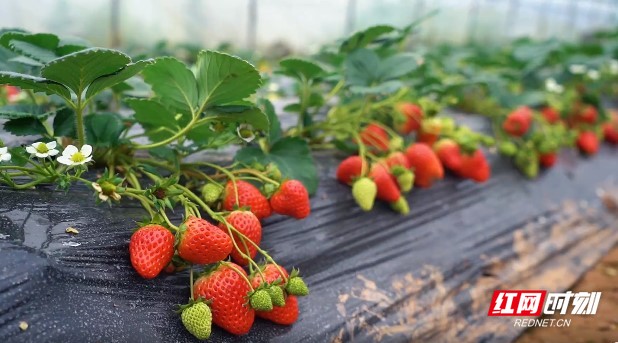 大爱影视 讲述一群不同的大爱影视人