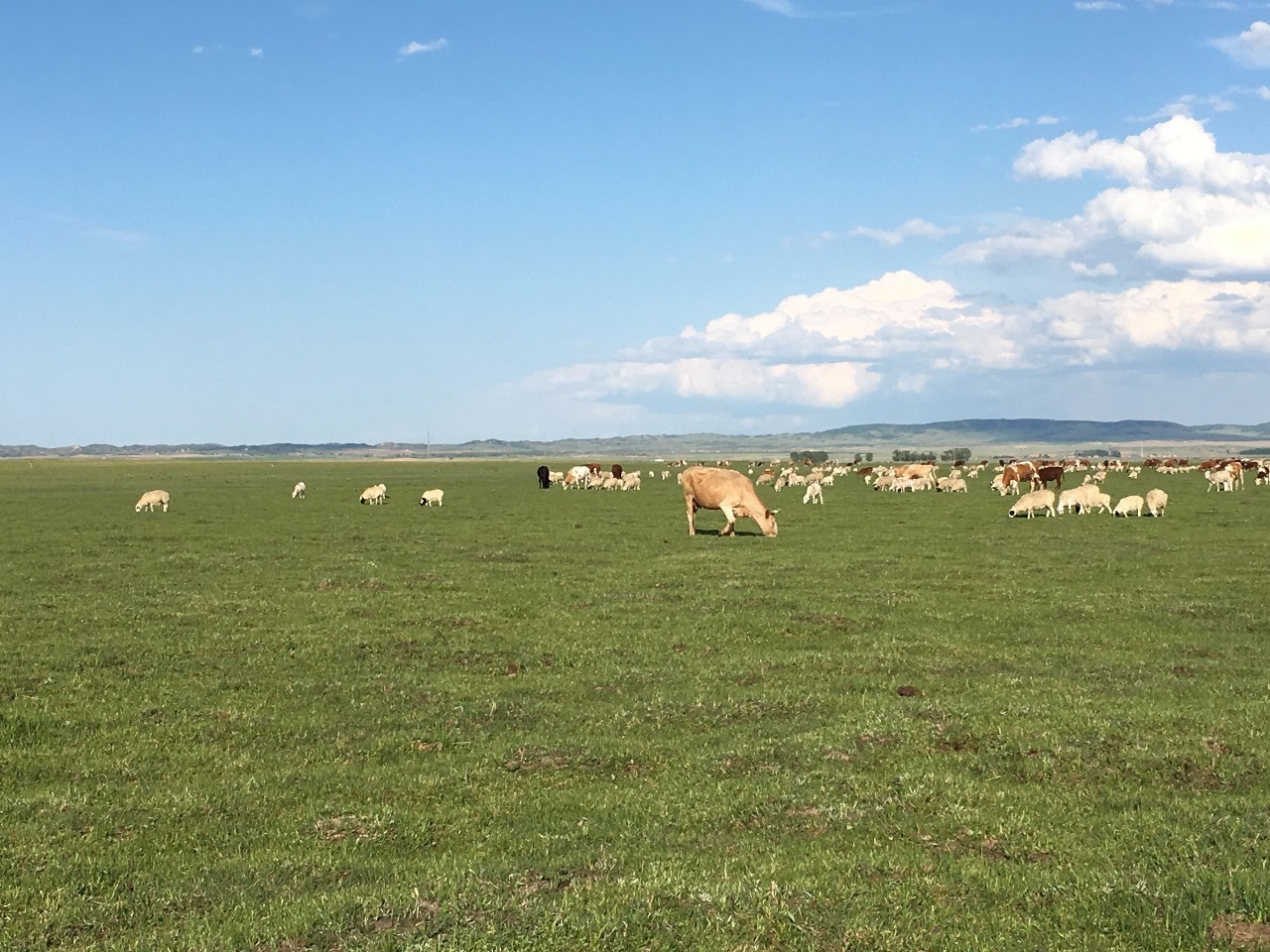 国产天堂 虽然仍在持续优化中