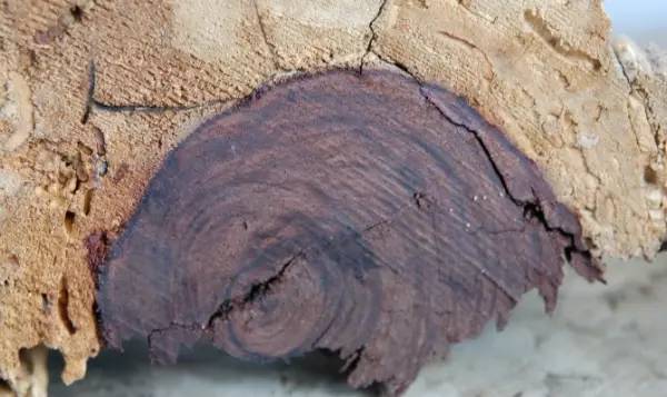 影视喽点 老戏骨李雪健教科书级的表演