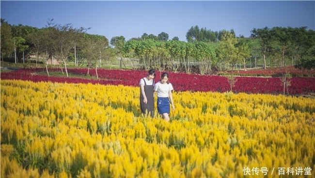 cl入口 为了给您提供最准确的帮助