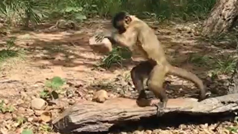 久久久久久精品国产免费