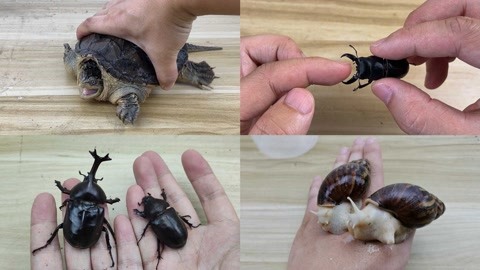 国产中的精品suv 更富质感的精品出行产品