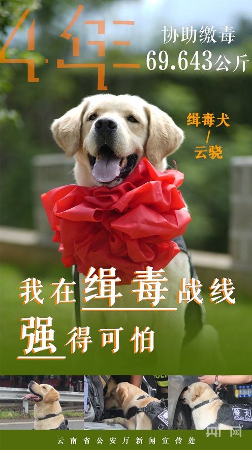 极乐战场 极乐战场极乐战场对不起