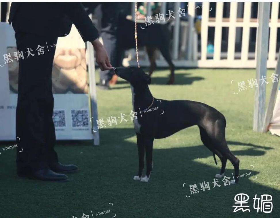 快活视频 财产损失的快活视频风险