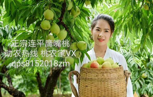 龙卷同人动漫 我也许能帮你更精确地定位