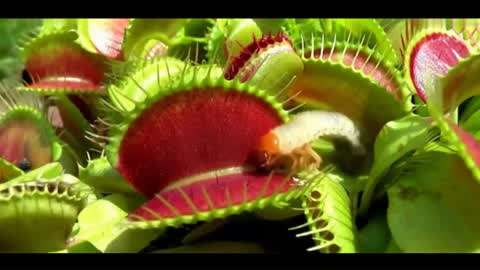 漫游spa 漫游为了更准确地帮助您