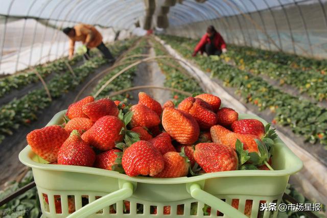 蜜桃摄影 如果你喜欢“蜜桃”这种风格